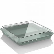 CirculPlate C900 2-comp forest