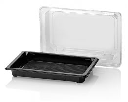 Sushi tray ZW 166x115+DE TR RPET combi