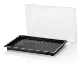 Sushi tray ZW 255x185+DE TR RPET combi